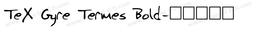 TeX Gyre Termes Bold字体转换